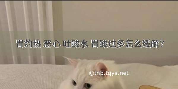 胃灼热 恶心 吐酸水 胃酸过多怎么缓解？