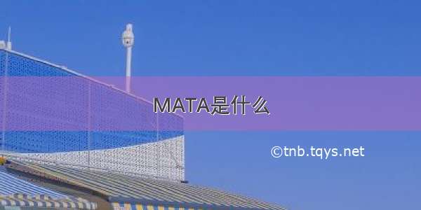 MATA是什么