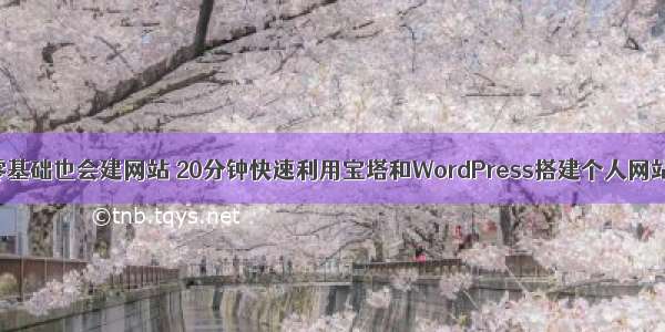 零基础也会建网站 20分钟快速利用宝塔和WordPress搭建个人网站