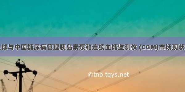 -2028年全球与中国糖尿病管理胰岛素泵和连续血糖监测仪 (CGM)市场现状调研及发展