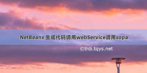 NetBeans 生成代码调用webService调用sopa