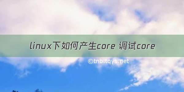 linux下如何产生core 调试core