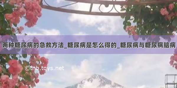 两种糖尿病的急救方法_糖尿病是怎么得的_糖尿病与糖尿病脑病