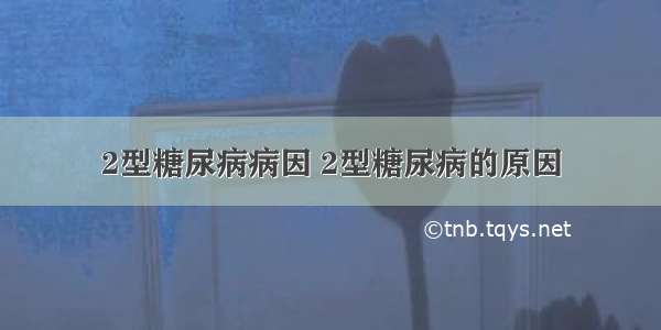 2型糖尿病病因 2型糖尿病的原因