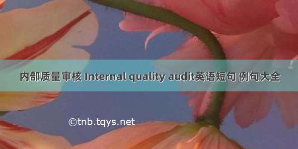 内部质量审核 Internal quality audit英语短句 例句大全