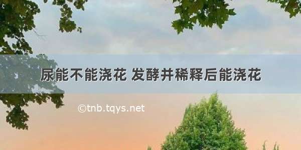 尿能不能浇花 发酵并稀释后能浇花