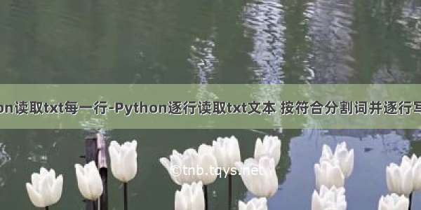 python读取txt每一行-Python逐行读取txt文本 按符合分割词并逐行写入txt