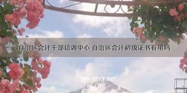 自治区会计干部培训中心 自治区会计初级证书有用吗