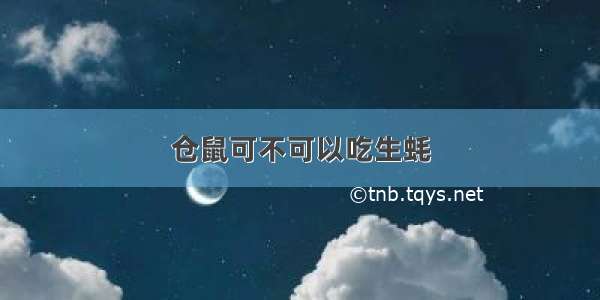 仓鼠可不可以吃生蚝