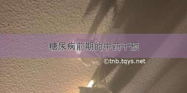 糖尿病前期的中药干预