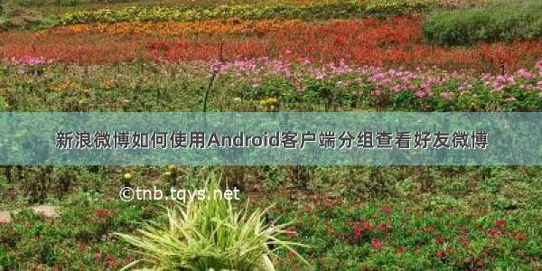 新浪微博如何使用Android客户端分组查看好友微博