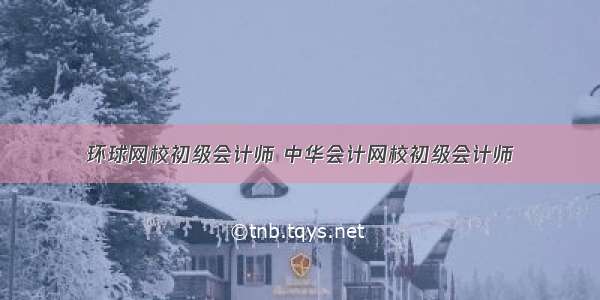 环球网校初级会计师 中华会计网校初级会计师