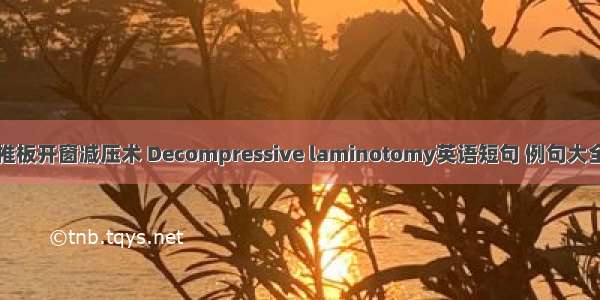 椎板开窗减压术 Decompressive laminotomy英语短句 例句大全