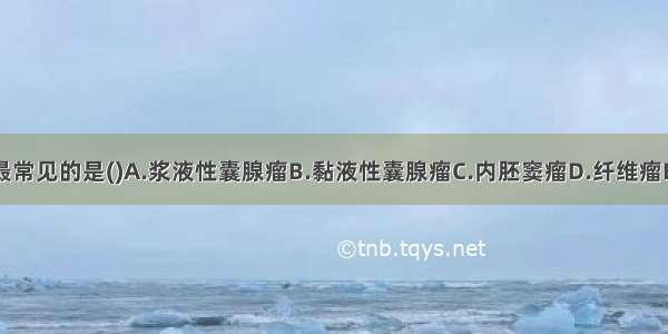 卵巢肿瘤中最常见的是()A.浆液性囊腺瘤B.黏液性囊腺瘤C.内胚窦瘤D.纤维瘤E.颗粒细胞瘤