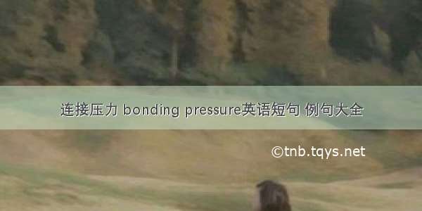 连接压力 bonding pressure英语短句 例句大全