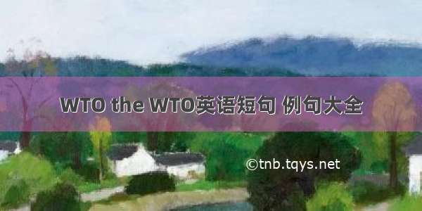 WTO the WTO英语短句 例句大全