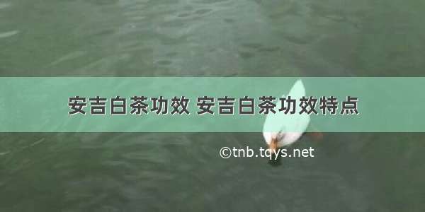 安吉白茶功效 安吉白茶功效特点