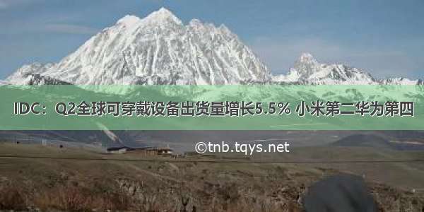 IDC：Q2全球可穿戴设备出货量增长5.5% 小米第二华为第四