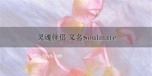 灵魂伴侣 又名Soulmate