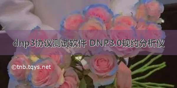 dnp3协议测试软件 DNP3.0规约分析仪