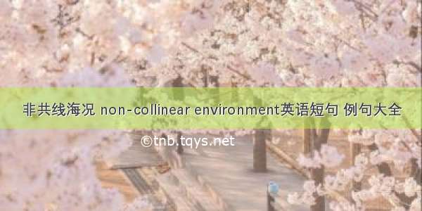 非共线海况 non-collinear environment英语短句 例句大全