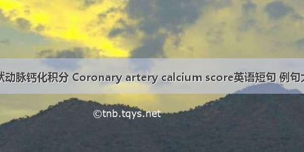 冠状动脉钙化积分 Coronary artery calcium score英语短句 例句大全