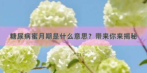 糖尿病蜜月期是什么意思？带来你来揭秘