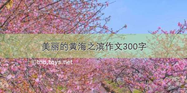 美丽的黄海之滨作文300字