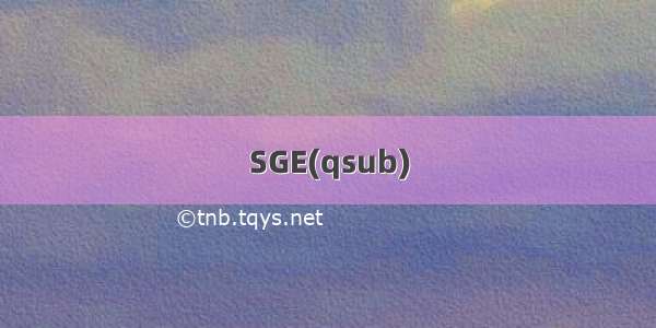 SGE(qsub)