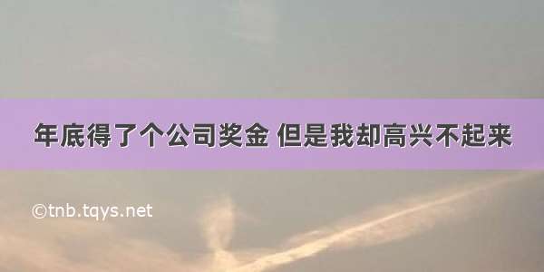 年底得了个公司奖金 但是我却高兴不起来