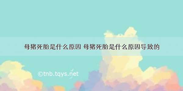 母猪死胎是什么原因 母猪死胎是什么原因导致的