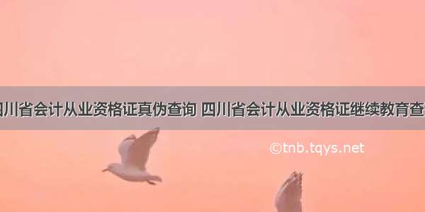 四川省会计从业资格证真伪查询 四川省会计从业资格证继续教育查询