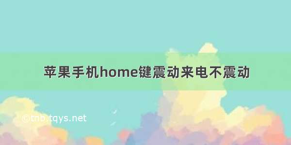 苹果手机home键震动来电不震动