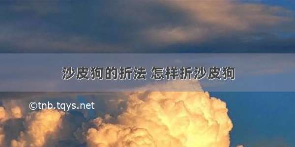 沙皮狗的折法 怎样折沙皮狗