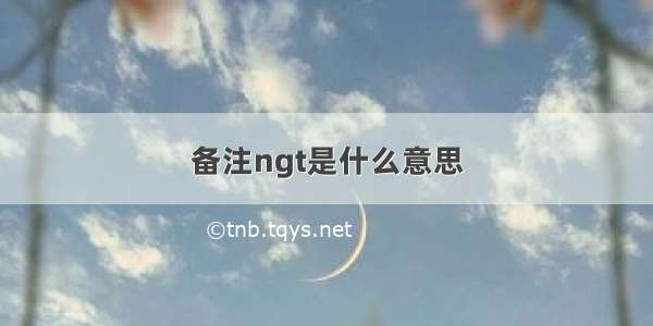 备注ngt是什么意思