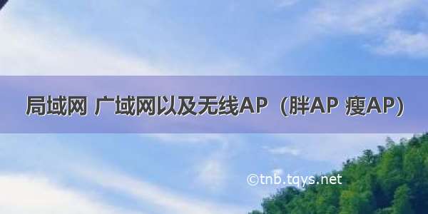 局域网 广域网以及无线AP（胖AP 瘦AP）