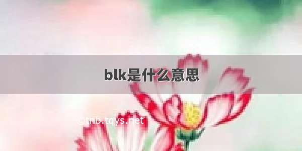 blk是什么意思