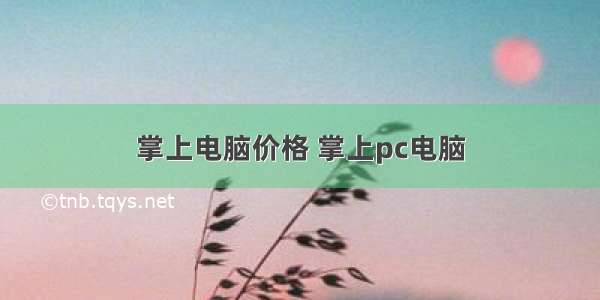 掌上电脑价格 掌上pc电脑