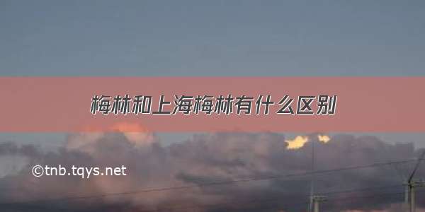 梅林和上海梅林有什么区别