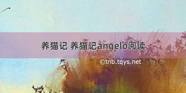 养猫记 养猫记angelo阅读