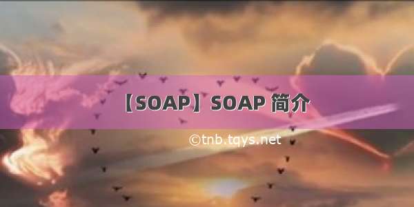 【SOAP】SOAP 简介