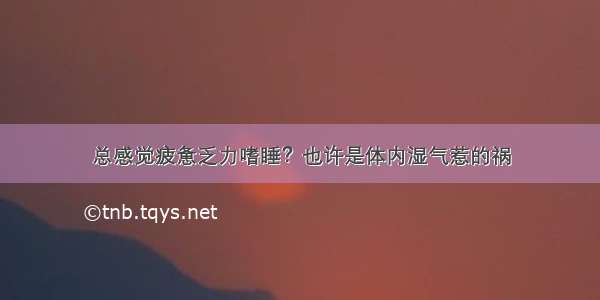 总感觉疲惫乏力嗜睡？也许是体内湿气惹的祸