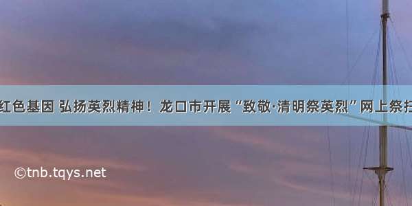 传承红色基因 弘扬英烈精神！龙口市开展“致敬·清明祭英烈”网上祭扫活动