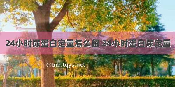 24小时尿蛋白定量怎么留 24小时蛋白尿定量