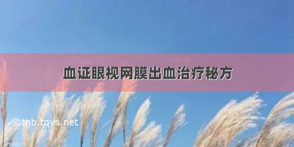 血证眼视网膜出血治疗秘方