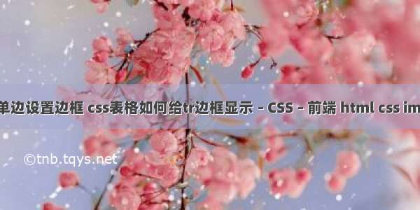 border单边设置边框 css表格如何给tr边框显示 – CSS – 前端 html css important