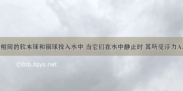 把体积大小相同的软木球和铜球投入水中 当它们在水中静止时 其所受浮力A.铜球大于木