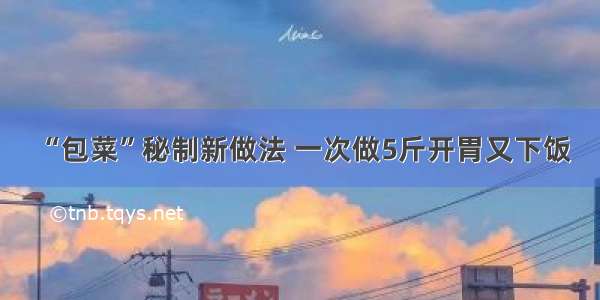 “包菜”秘制新做法 一次做5斤开胃又下饭