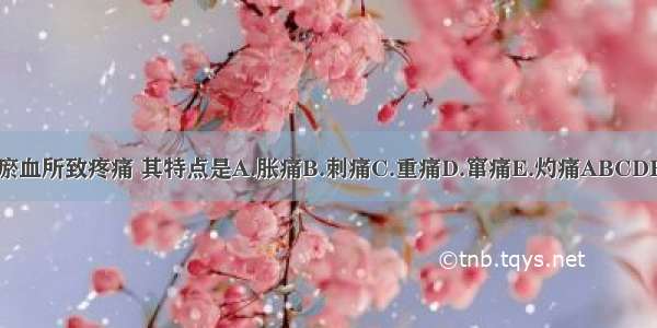 瘀血所致疼痛 其特点是A.胀痛B.刺痛C.重痛D.窜痛E.灼痛ABCDE