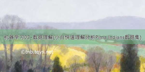 机器学习03-数据理解(小白快速理解分析Pima Indians数据集)